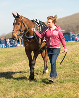 Race 1 Div 1 - 2M4F Maiden (18 of 117).jpg