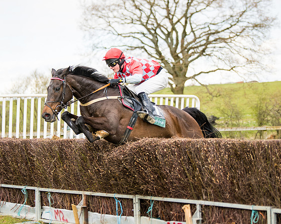 Race 3 - Owner Trainer conditions (82 of 132)