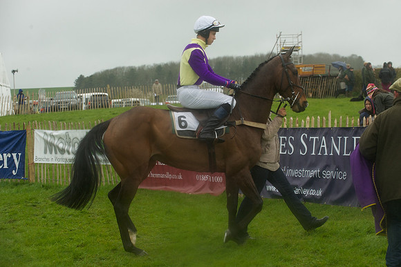 Race 5 - Restricted 11