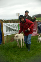 2 - Dog Show 3