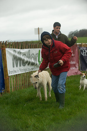 2 - Dog Show 3