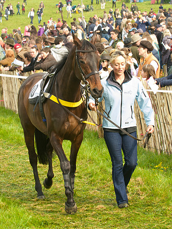 Old Berks at Lockinge Restricted Race