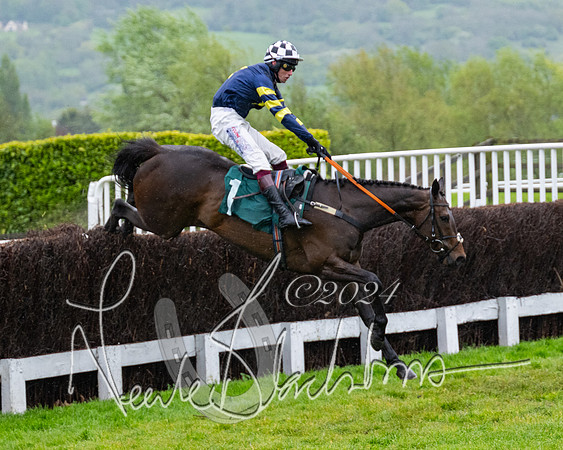 Race 5 - Mares Open  (53 of 129)