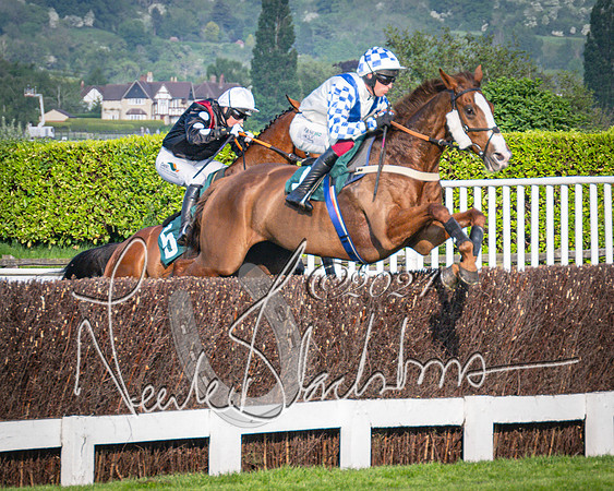 Race 4 - The Jonathan Neesom memorial open Hunter’s steeplechase 3m2f 70y (46 of 167)