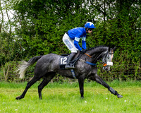 Race 3 - Young Horse Maiden (19 of 216)