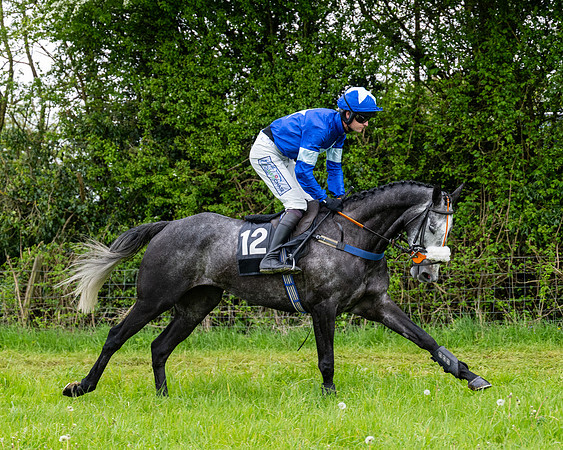 Race 3 - Young Horse Maiden (19 of 216)