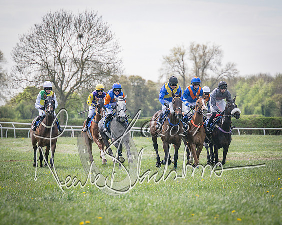 Race 2 - The Elliott of London maiden race (37 of 137)
