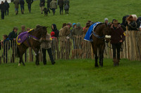 Race 5 - Restricted 2