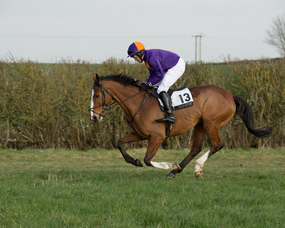 Race 6 - Open Maiden Race (24 of 99).jpg