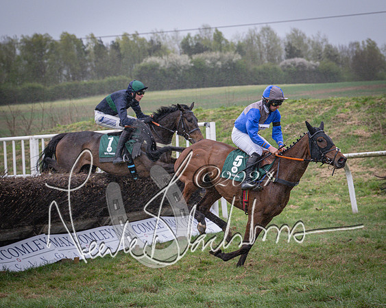 Race 7 - The Jockey Club maiden race for Mares and Fillies only (54 of 96)