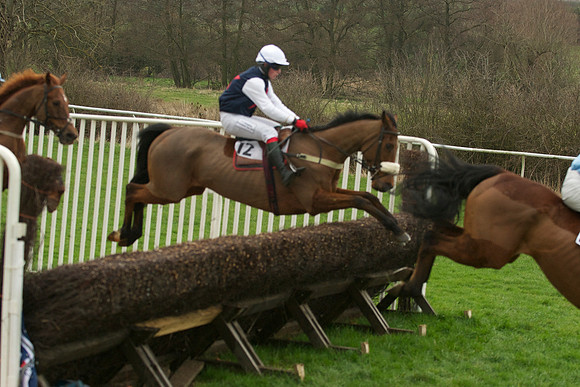 Race 5 - 31