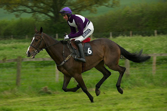 Race 6 - Maiden 19