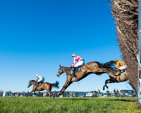 Race 6 - Restricted  (174 of 291)