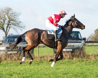 Mr Druid again-153