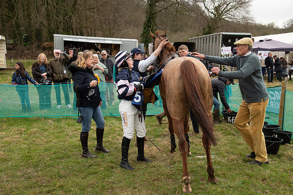 Race 2 - Veteran Horse (136 of 153)