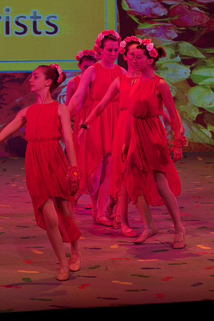 Rose Petals 26