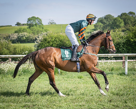 Race 5 - Restricted (29 of 116)