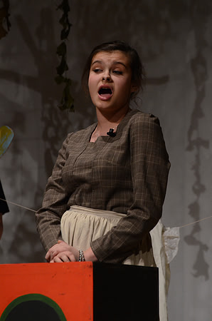 Wind in the Willows - Act-2  62