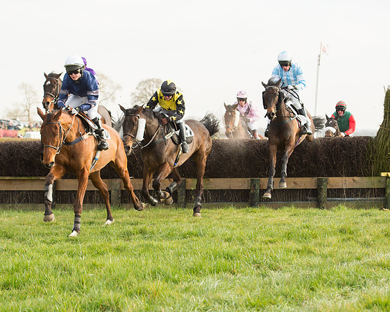 Race 6 - Open Maiden Race (55 of 99).jpg