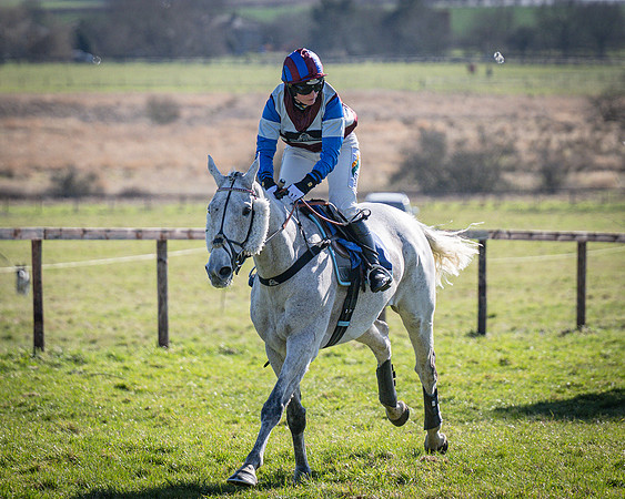 Race 1 - Veteran Horse (50 of 62)