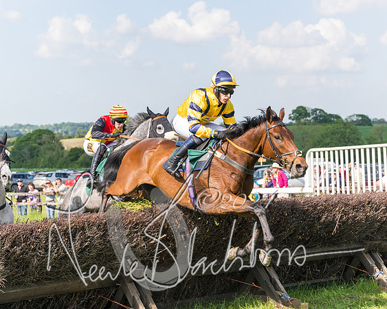 Race 5 - Restricted Race  (134 of 360)