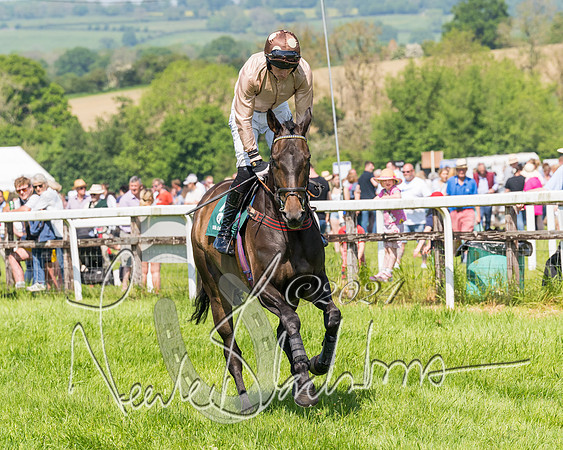 Race 2 - The Maiden  (26 of 442)
