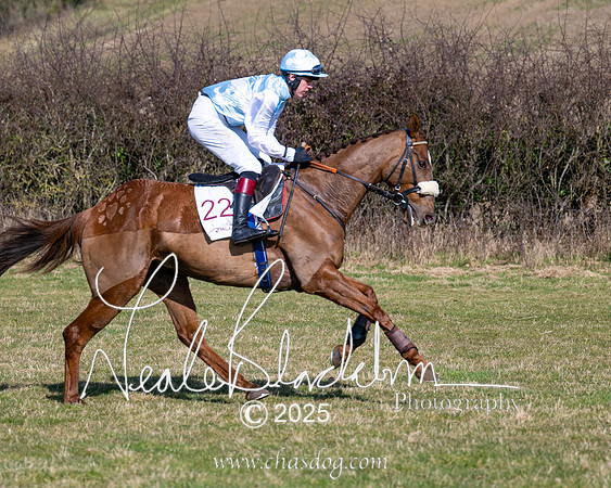 Race 1 - Maiden (67 of 188)