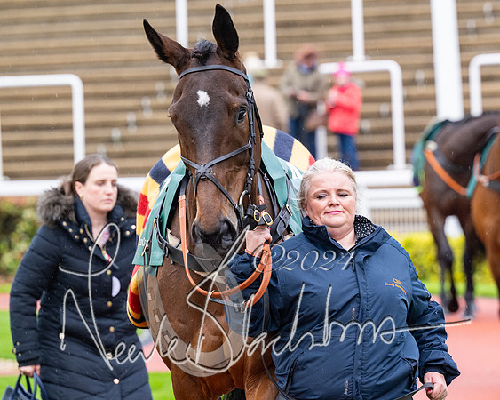 Race 5 - Mares Open  (3 of 129)