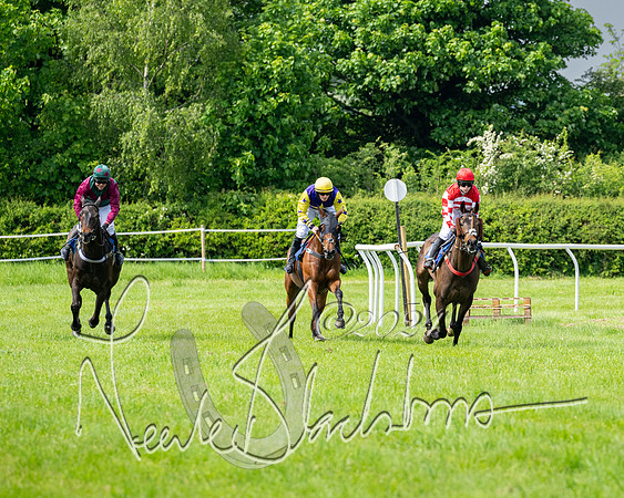 Race 2 - Restricted  (213 of 308)