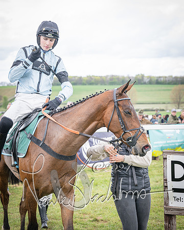 Race 2 - Tattersalls Cheltenham 4 year old Maiden (76 of 85)