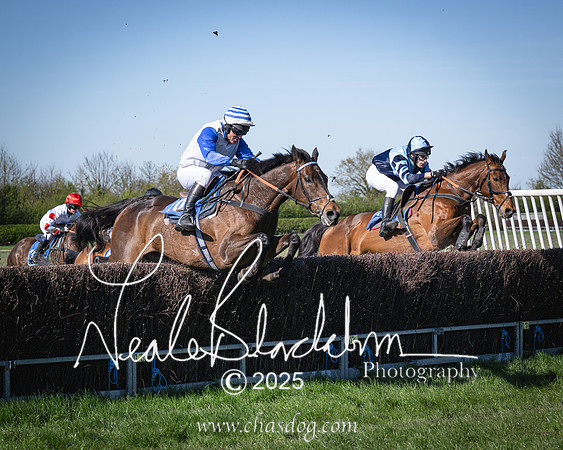Race 6 - Veteran horse (74 of 109)