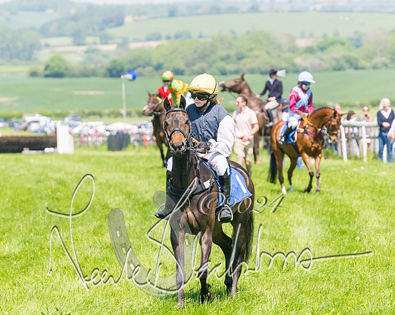 Pony Races  (16 of 141)