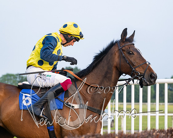 Race 5 - Peter Wright Handicap (15 of 117)