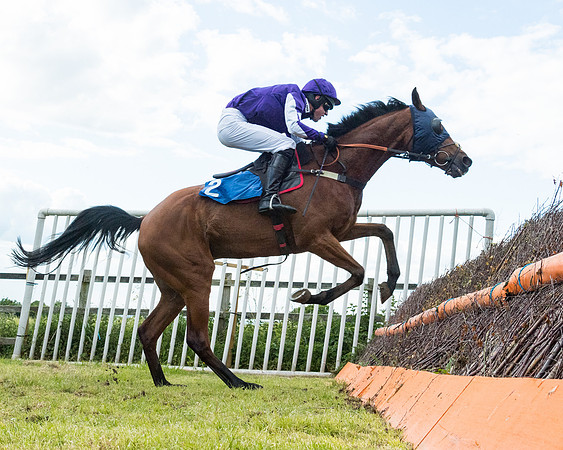 Race 5 - Restricted  (81 of 136)