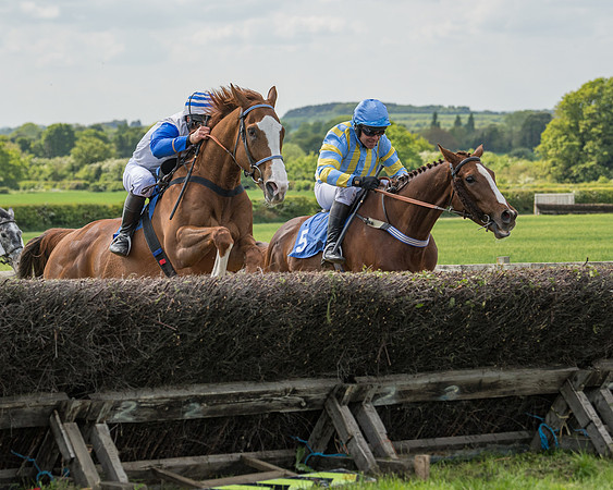 Race 2 - Restricted  (60 of 90)