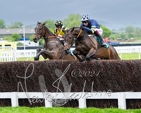 Race 5 - Mares Open  (36 of 129)