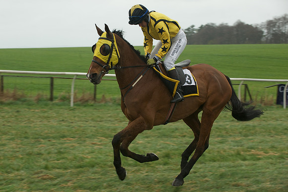 Race 5 - Restricted 17