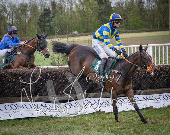 Race 7 - The Jockey Club maiden race for Mares and Fillies only (74 of 96)