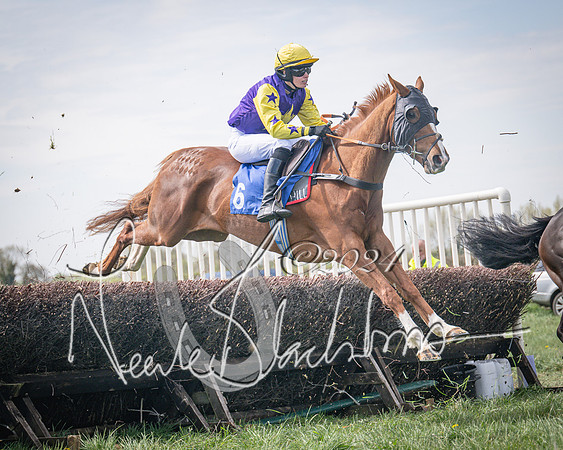 Race 2 - The Elliott of London maiden race (50 of 137)