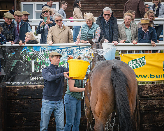 Race 6 - 2M4F Maiden (62 of 85)