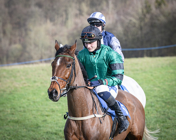 Race 5 - Home counties Grand National (45 of 194)