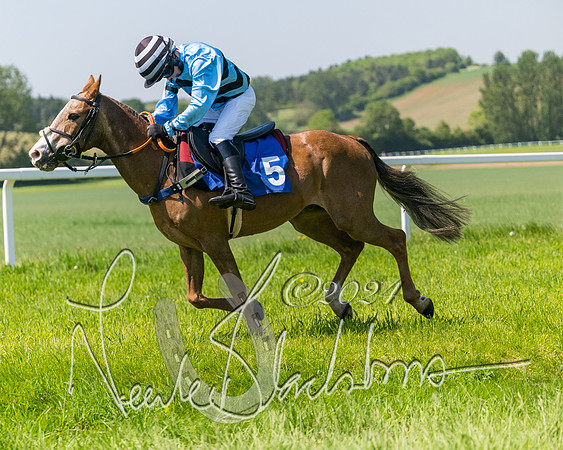 Pony Races  (55 of 141)