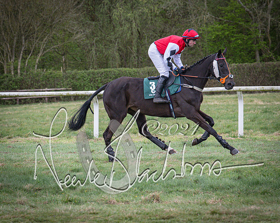Race 7 - The Jockey Club maiden race for Mares and Fillies only (23 of 96)