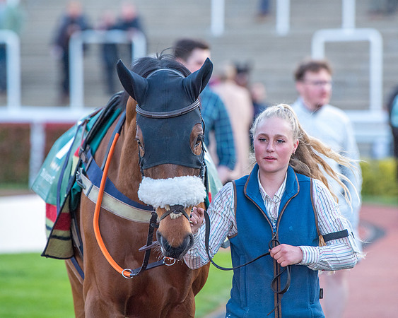 Race 7 - Glos Hussars  (20 of 245)