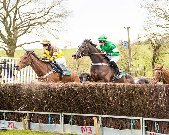 Race 6 - 6 year old and over Maiden 2m4f (14 of 62)