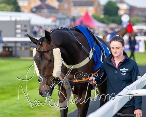 Race 4 - Stratford Foxhunters (5 of 145)