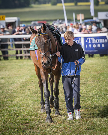 Race 5 - Restricted (11 of 116)