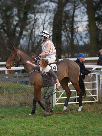 CHHC - Young Horse Maiden Division 2
