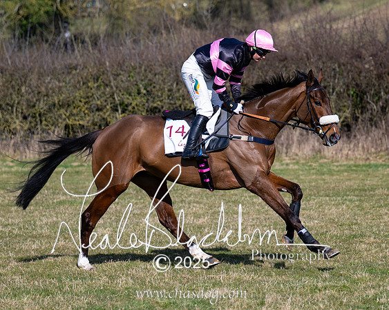 Race 1 - Maiden (51 of 188)