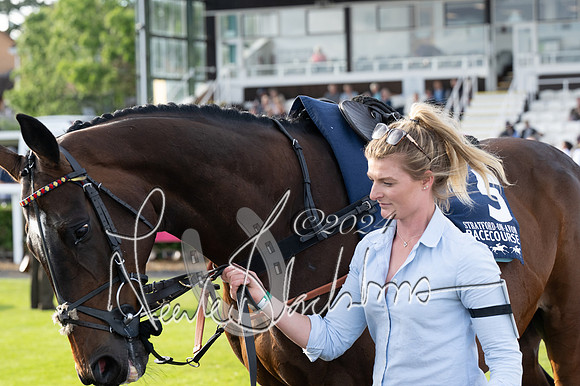 Race 3 - The pointtopoint.co.uk champion novices’ Hunter Chase (55 of 140)